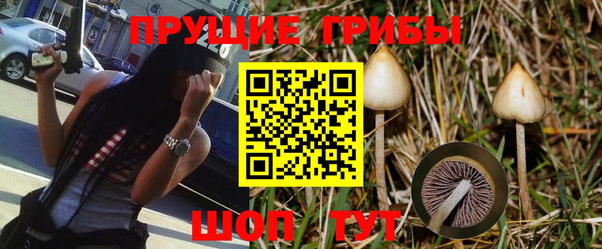 Арзамас  Галлюциногенные грибы мицелий  Вход с VPN 