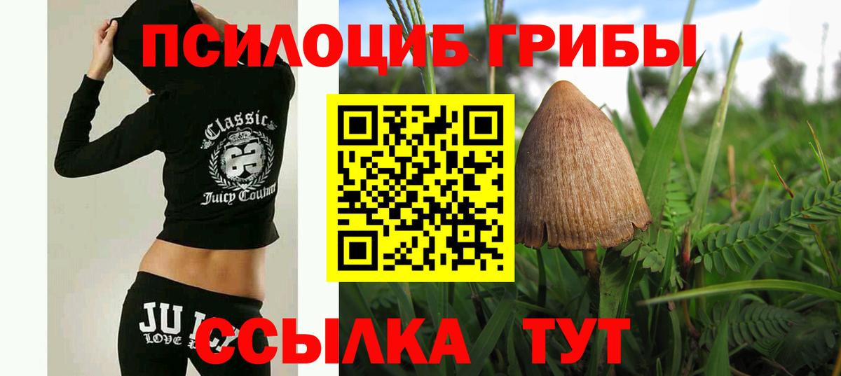 Псилоцибиновые грибы GOLDEN TEACHER Арзамас